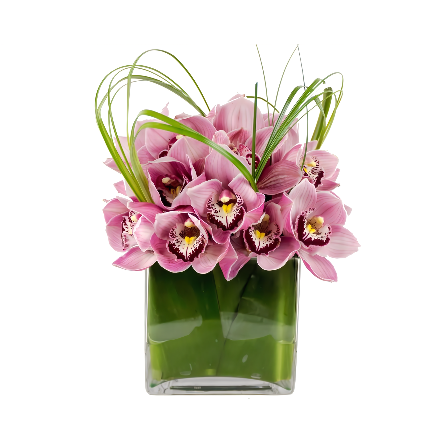 NYC Flower Delivery - Pink Cymbidium Cube - Occasions > Anniversary