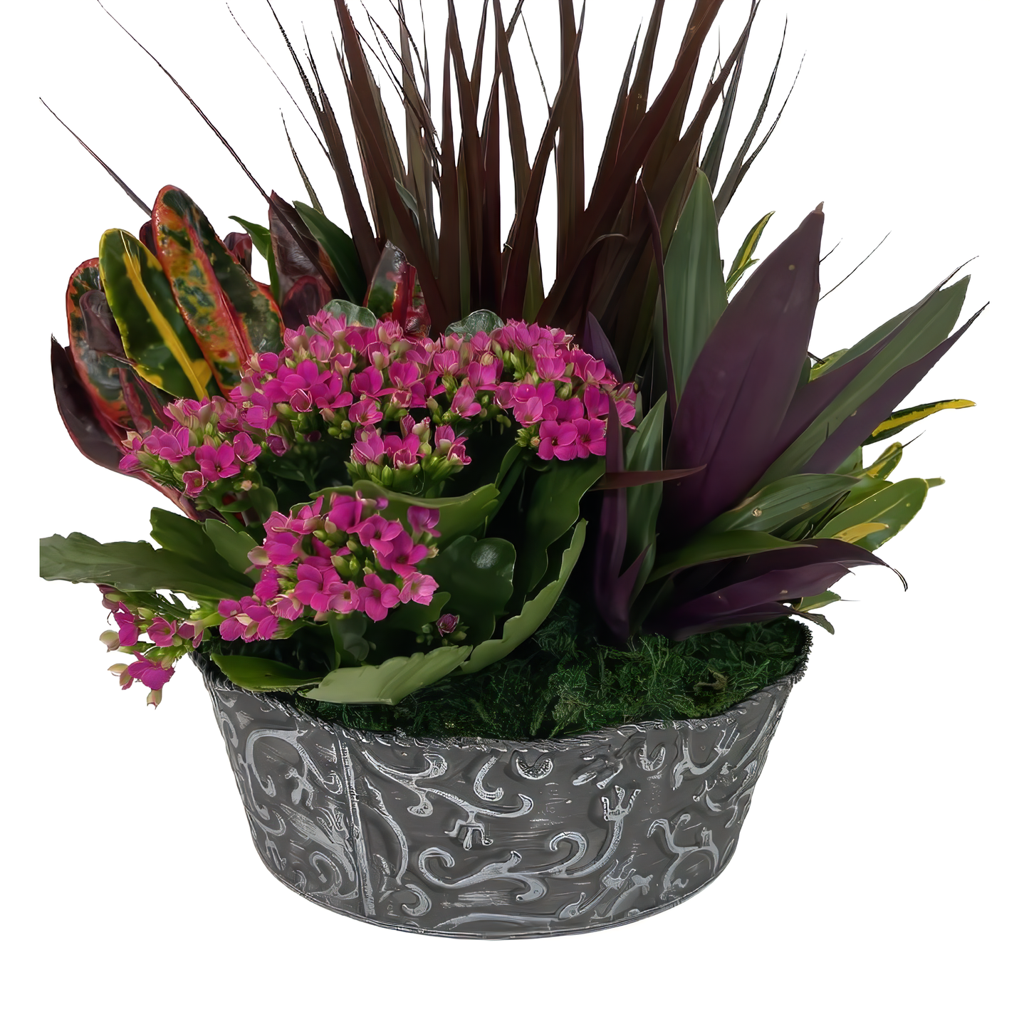 NYC Flower Delivery - Large European Dish Garden In Grey Antique Planter - Plants